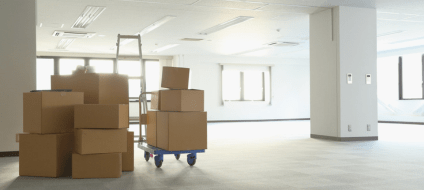 Expertise professionnelle